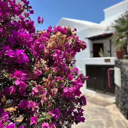 La Necora Lanzarote *