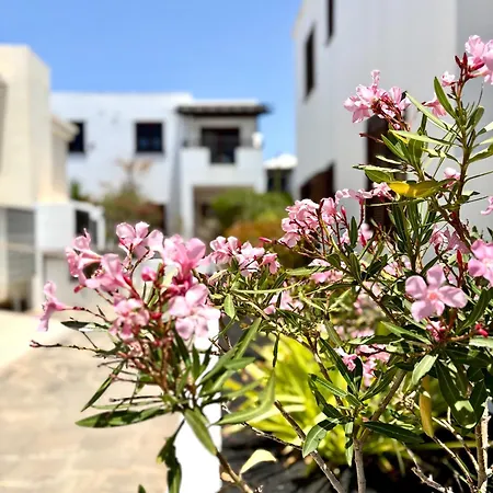 La Necora Lanzarote Apartamento Playa Honda (Lanzarote)