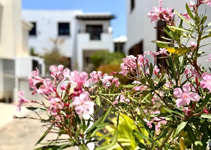 La Necora Lanzarote Apartment Playa Honda (Lanzarote)